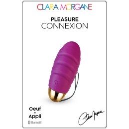 Prestaloveshop Pleasure Connexion Oeuf Vibrant Usb Connecté