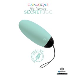 Prestaloveshop My Vibrating Secret oeuf vibrant USB connecté