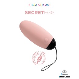 Prestaloveshop My Vibrating Secret oeuf vibrant USB connecté