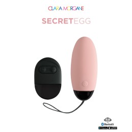 Prestaloveshop My Vibrating Secret oeuf vibrant USB connecté