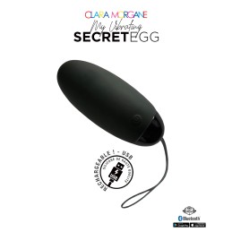 Prestaloveshop My Vibrating Secret oeuf vibrant USB connecté